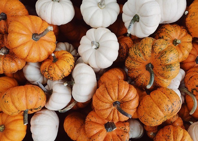 Nutritionist reveals the key benefits of adding pumpkin to your diet this October